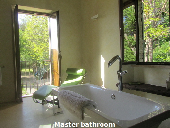 master_bathroom2